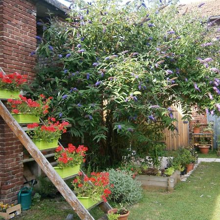 Aux Sources De L'Ancre Bed & Breakfast Miraumont Exterior photo