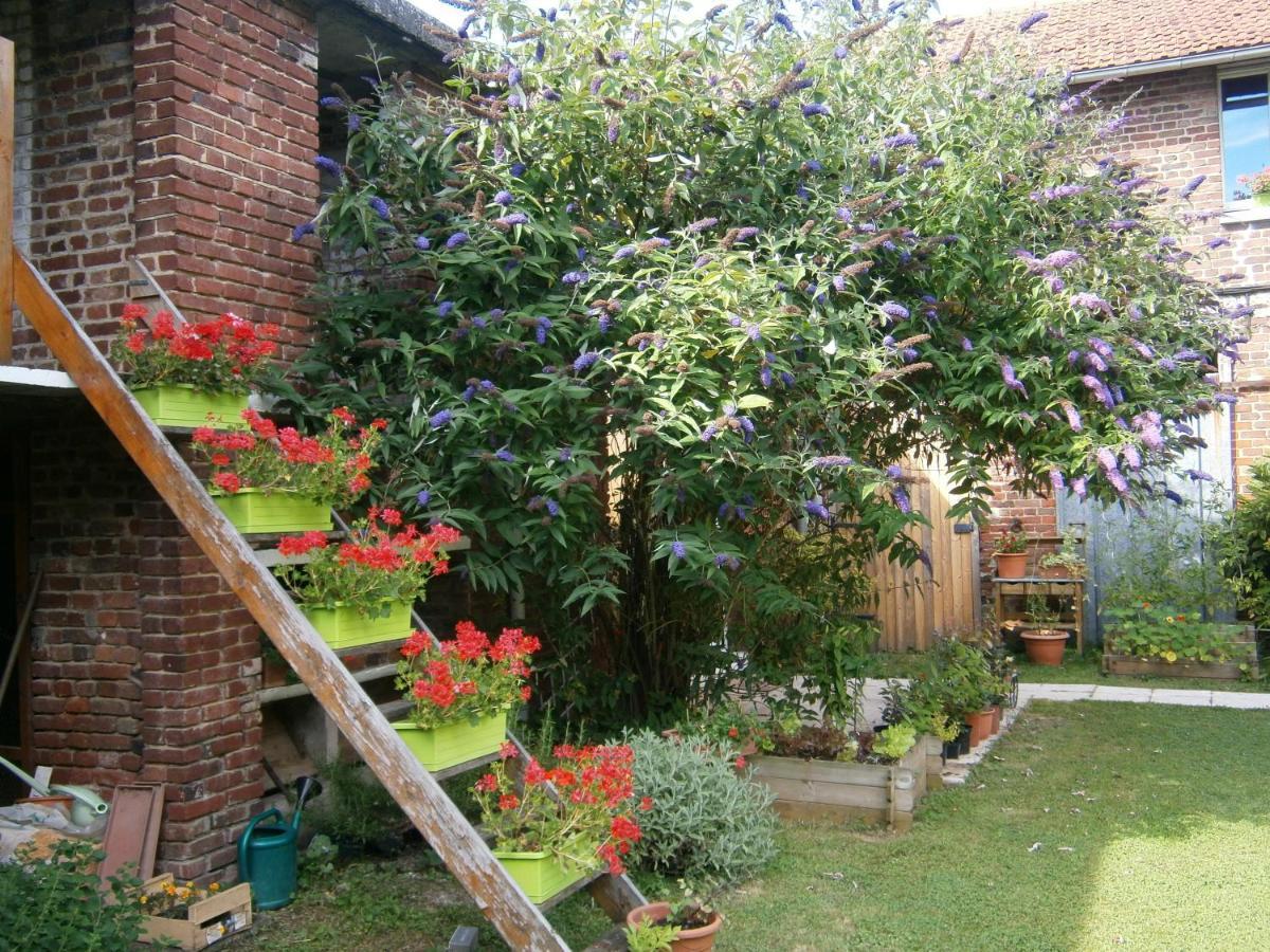 Aux Sources De L'Ancre Bed & Breakfast Miraumont Exterior photo